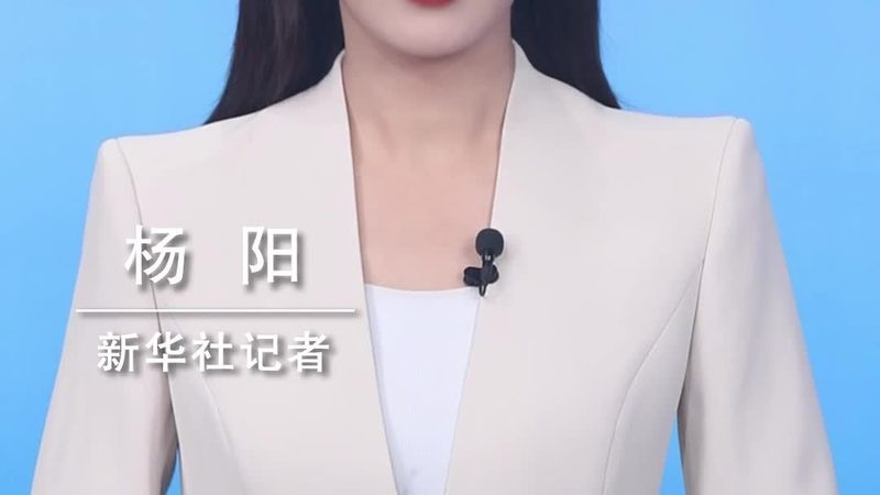 企业数字化转型的关键工具：揭秘行业解决方案**